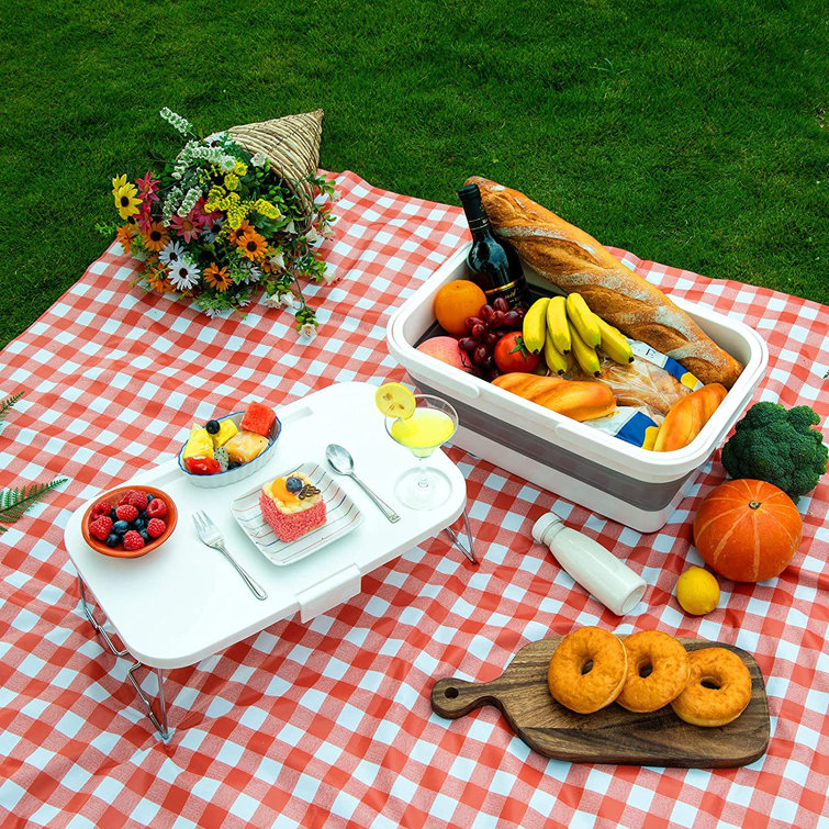 Arlmont & Co. Plastic Picnic Basket , Service for 2 Wayfair Canada